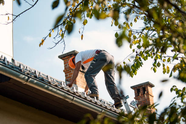 Roof Gutter Cleaning in Blue Ridge, AL