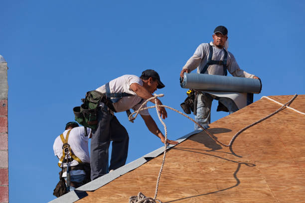 Best Emergency Roof Repair  in Blue Ridge, AL