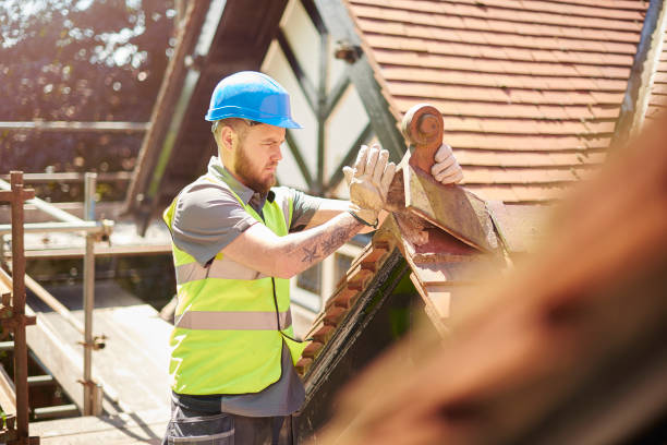 Best Roof Gutter Cleaning  in Blue Ridge, AL